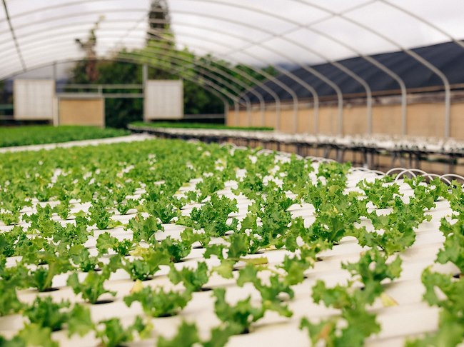 Solid Waste and Recycling Effort: 