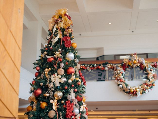 Join us for festive dining on Christmas Eve and Christmas Day